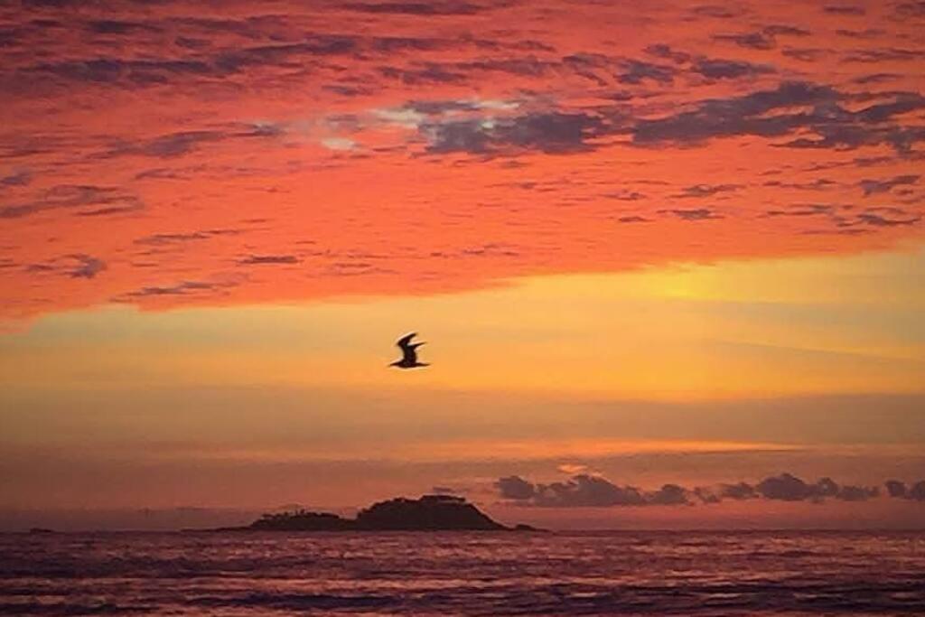 PÉ na Areia com Jacuzzi e Vista Incrível Para MAR! - Ferienwohnung Guarujá