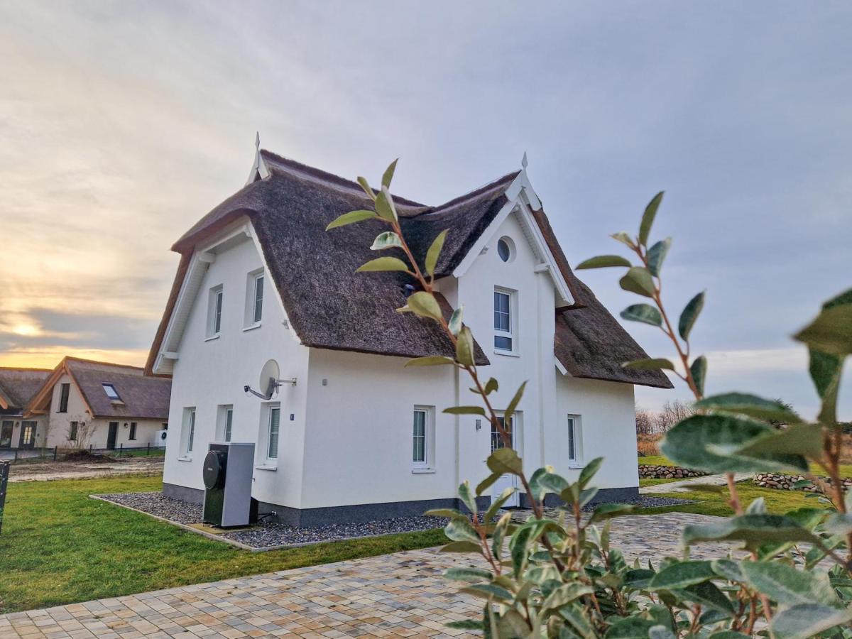 Ferienhaus Wildrose in der Puddeminer Wiek - Bed and Breakfast