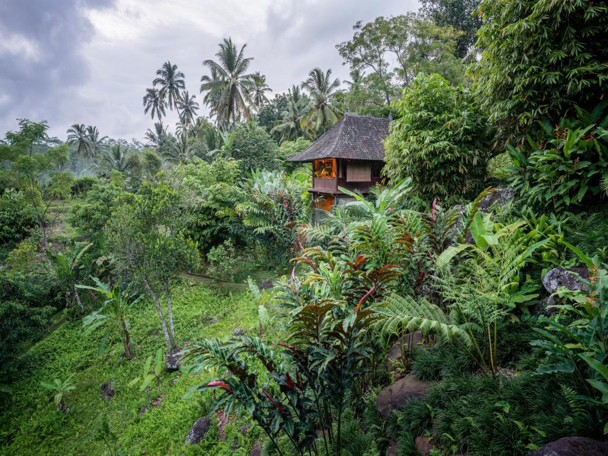 Superior Villa