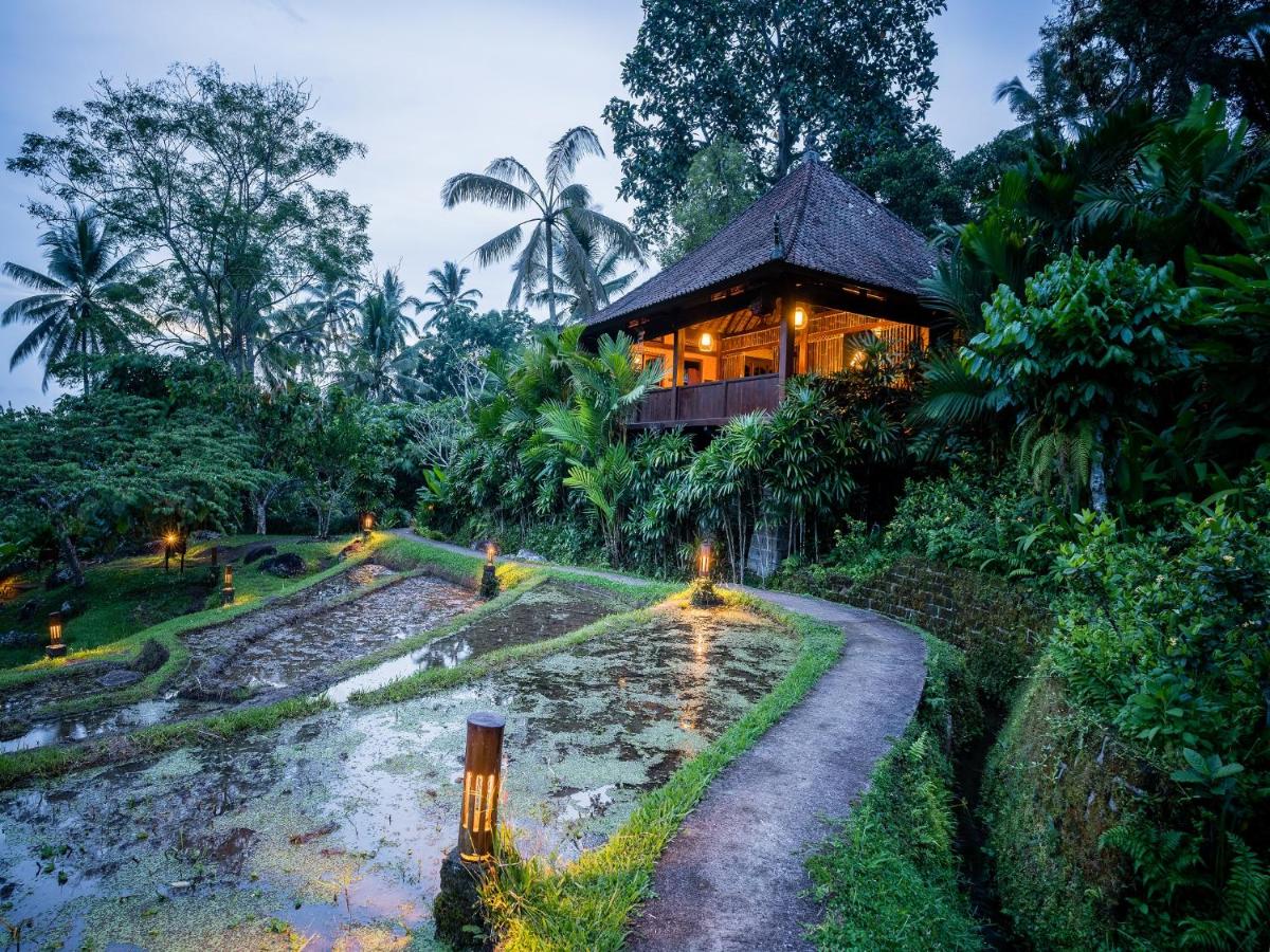 Superior Villa
