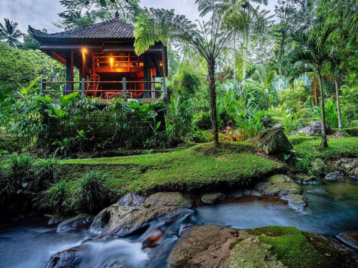 Bali Eco Stay - Bed and Breakfast