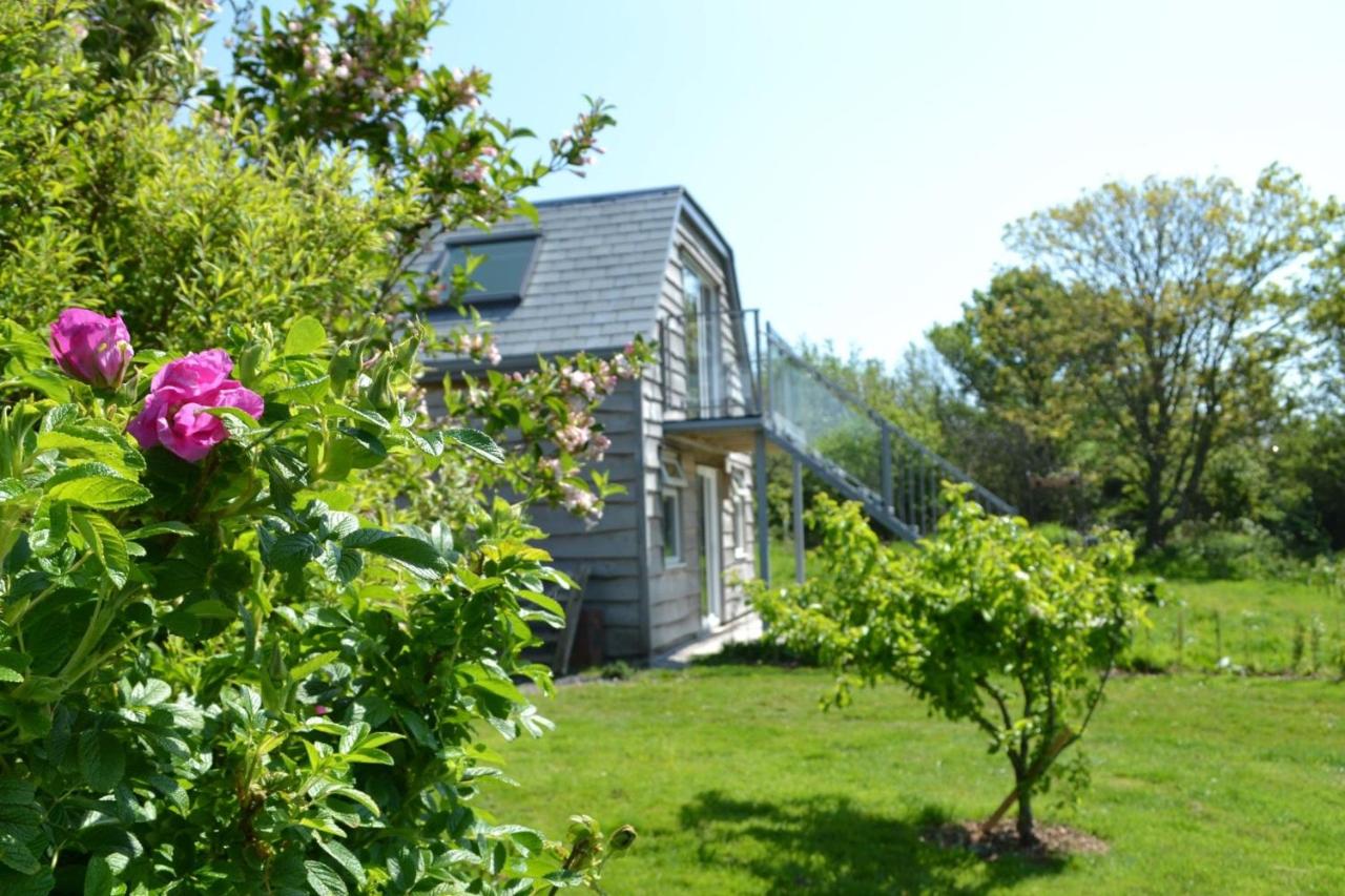 The Orchard - B&B Hartland