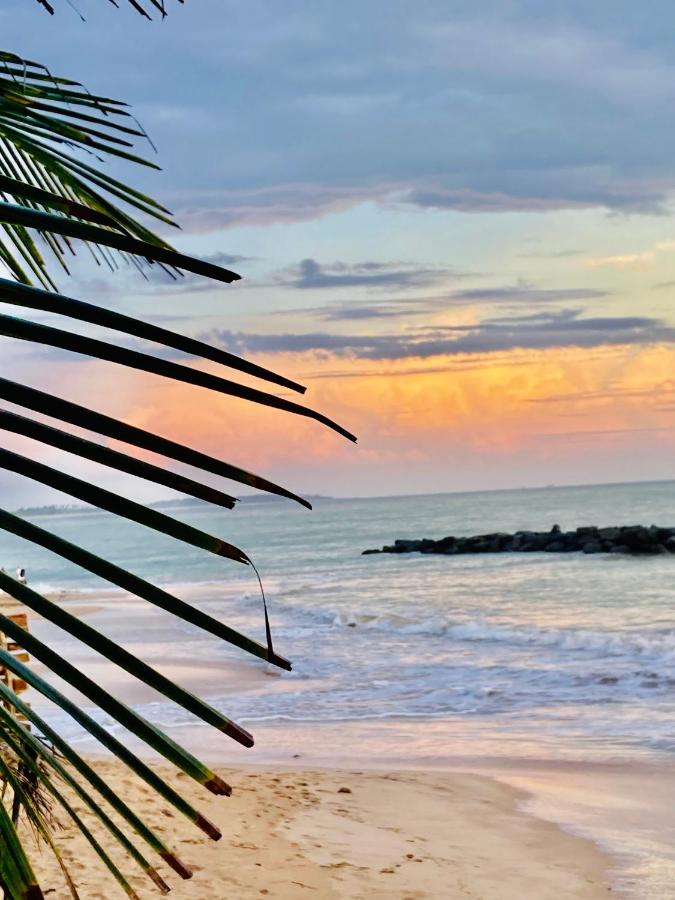 Mountain seaview Cabanas - Bed and Breakfast