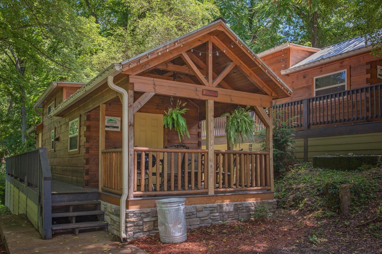 B&B Chattanooga - Sophie Cabin National Forest Tiny Cabin - Bed and Breakfast Chattanooga
