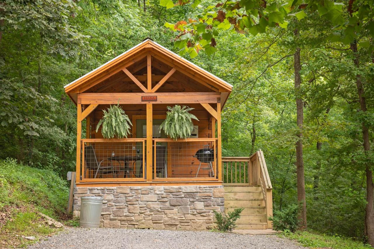 Nana Cabin Tiny Log Home Comfort In Rustic Bliss - B&B Chattanooga