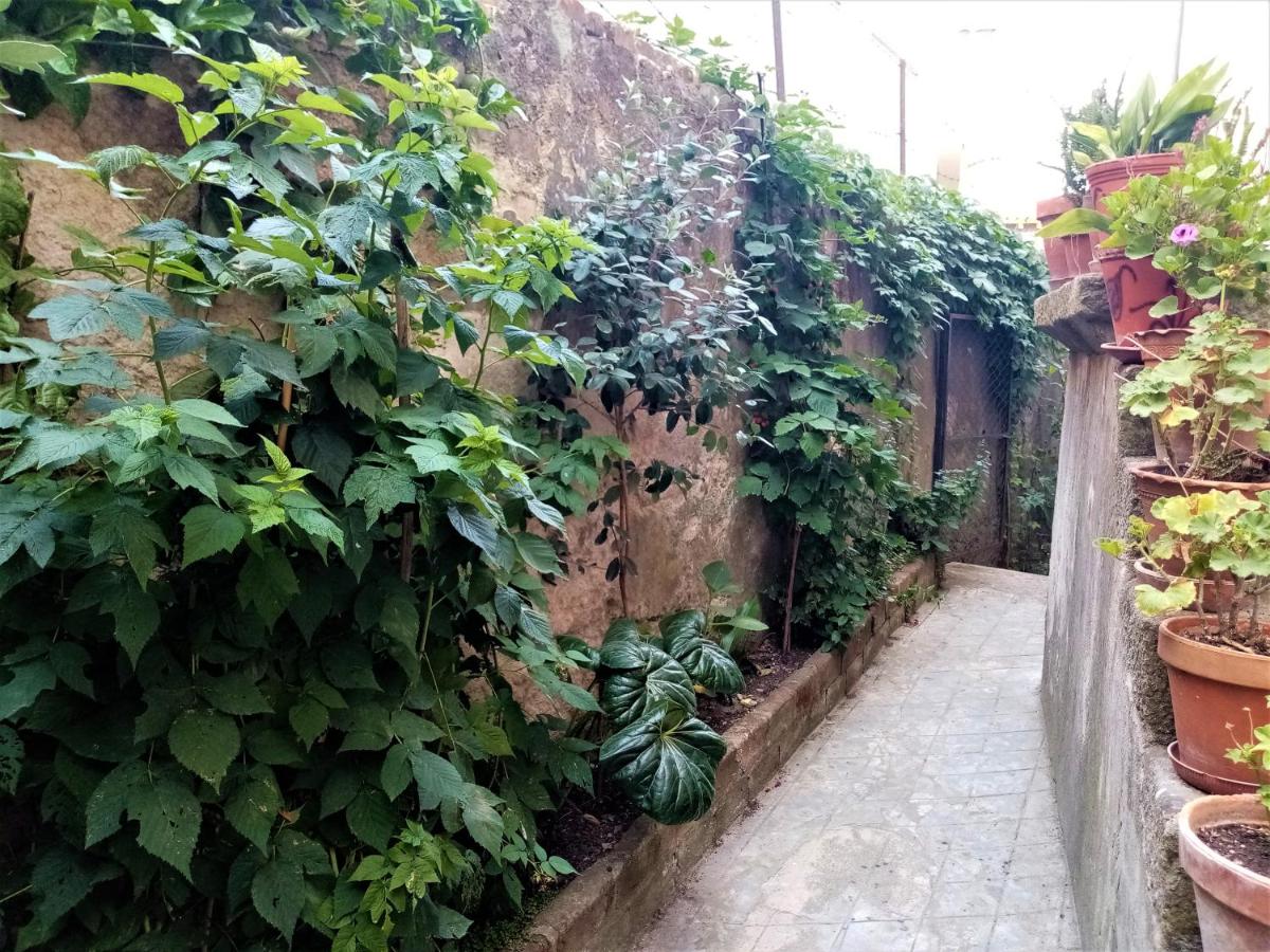 Casa da Judiaria Velha AP - B&B Viseu