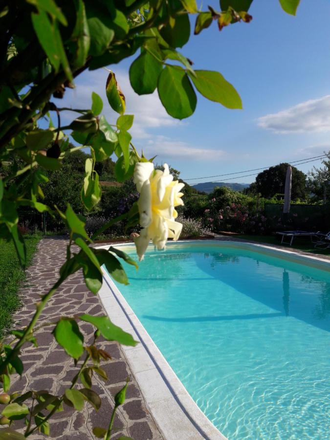 Corte Soave Apartment - Ferienwohnung