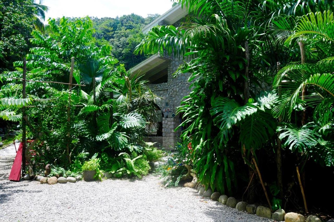 Two-Bedroom Apartment with Garden View - Avocado