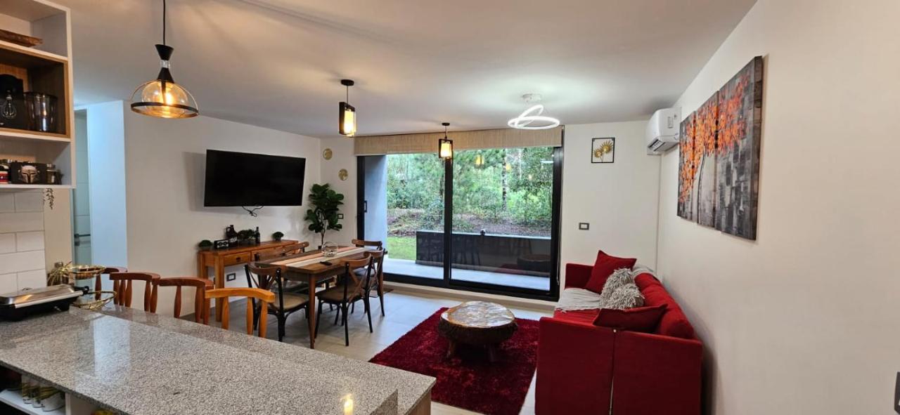 Departamento Pucón Andino - B&B Pucón