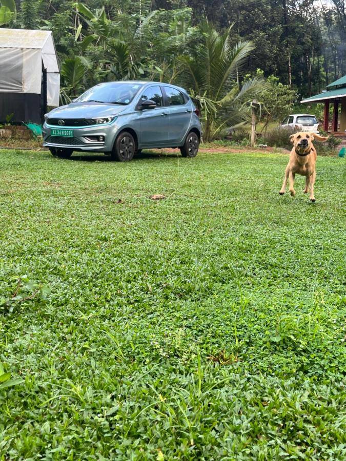 The Green Thumb Farm Stay - B&B Mundakāyam