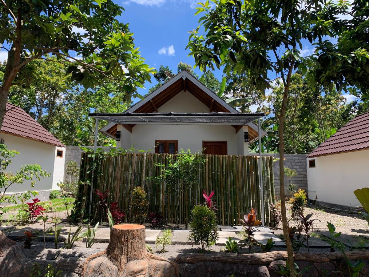 B&B Tetebatu - Avocado homestay - Bed and Breakfast Tetebatu