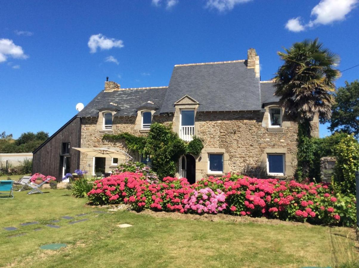 La petite salmonais - B&B