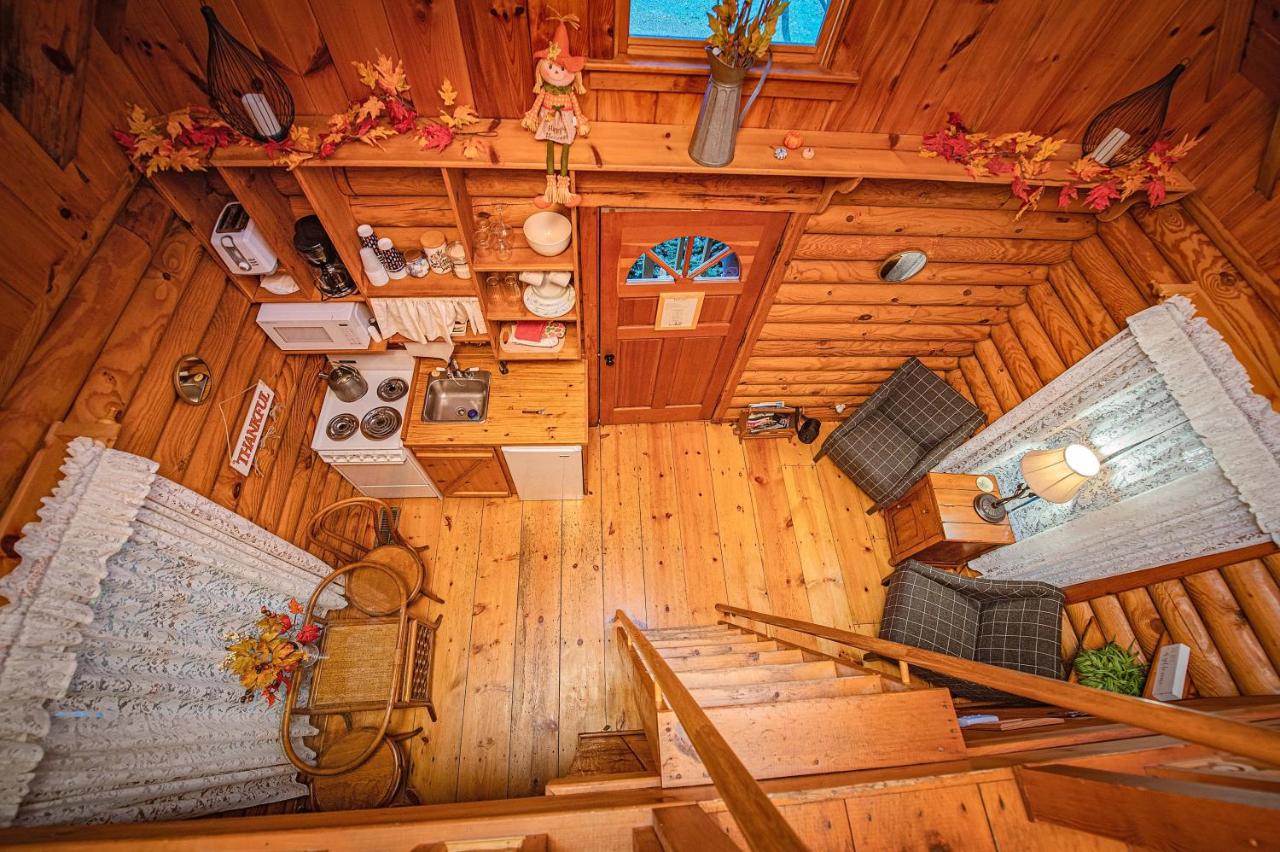 Ivy Cottage Cute Cottage Along The Ocoee River - B&B Ocoee