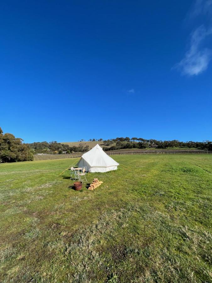 B&B Ararat - Cosy Glamping Tent 6 - Bed and Breakfast Ararat