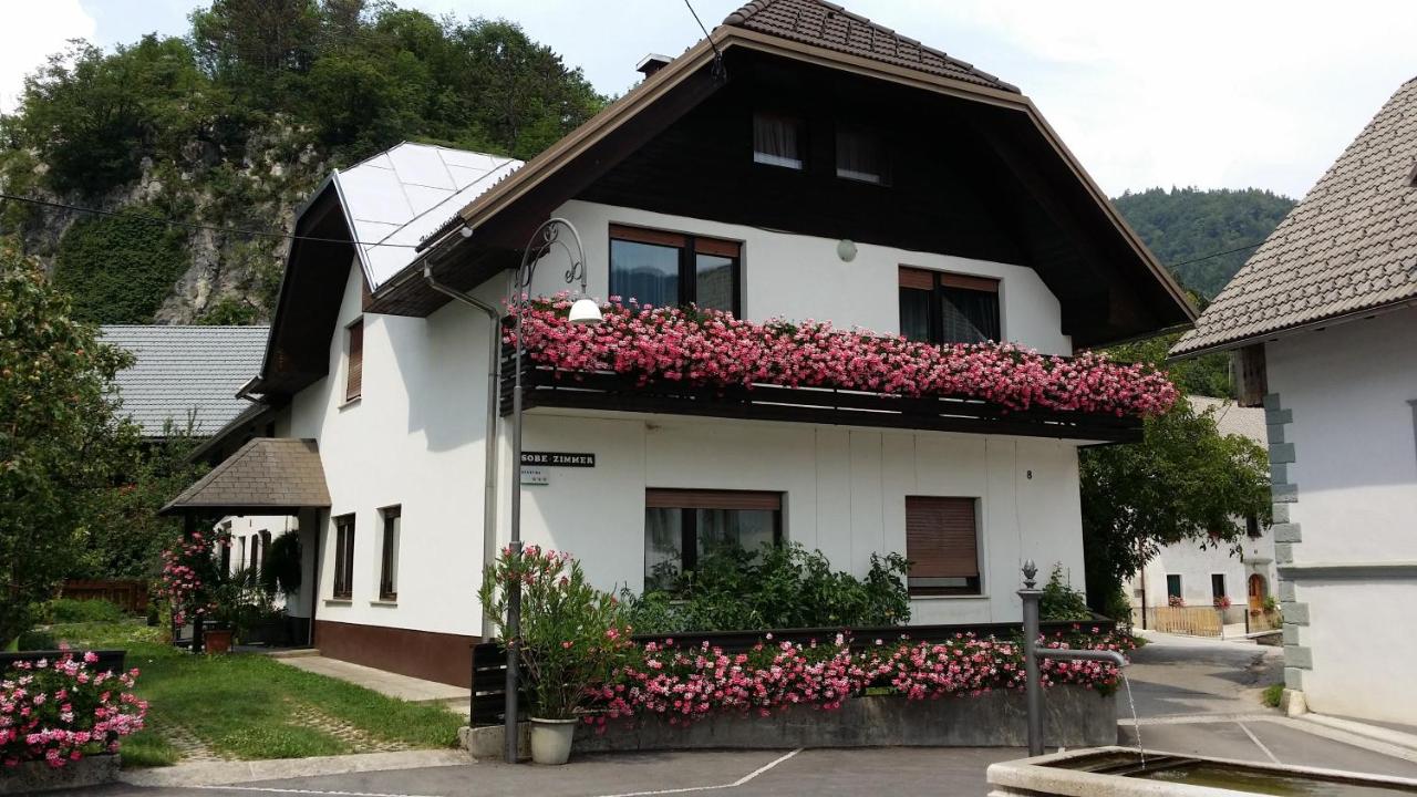 Apartments Gregorc - B&B