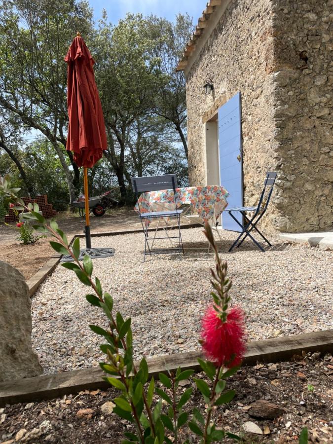 Superior Double or Twin Room with Garden View