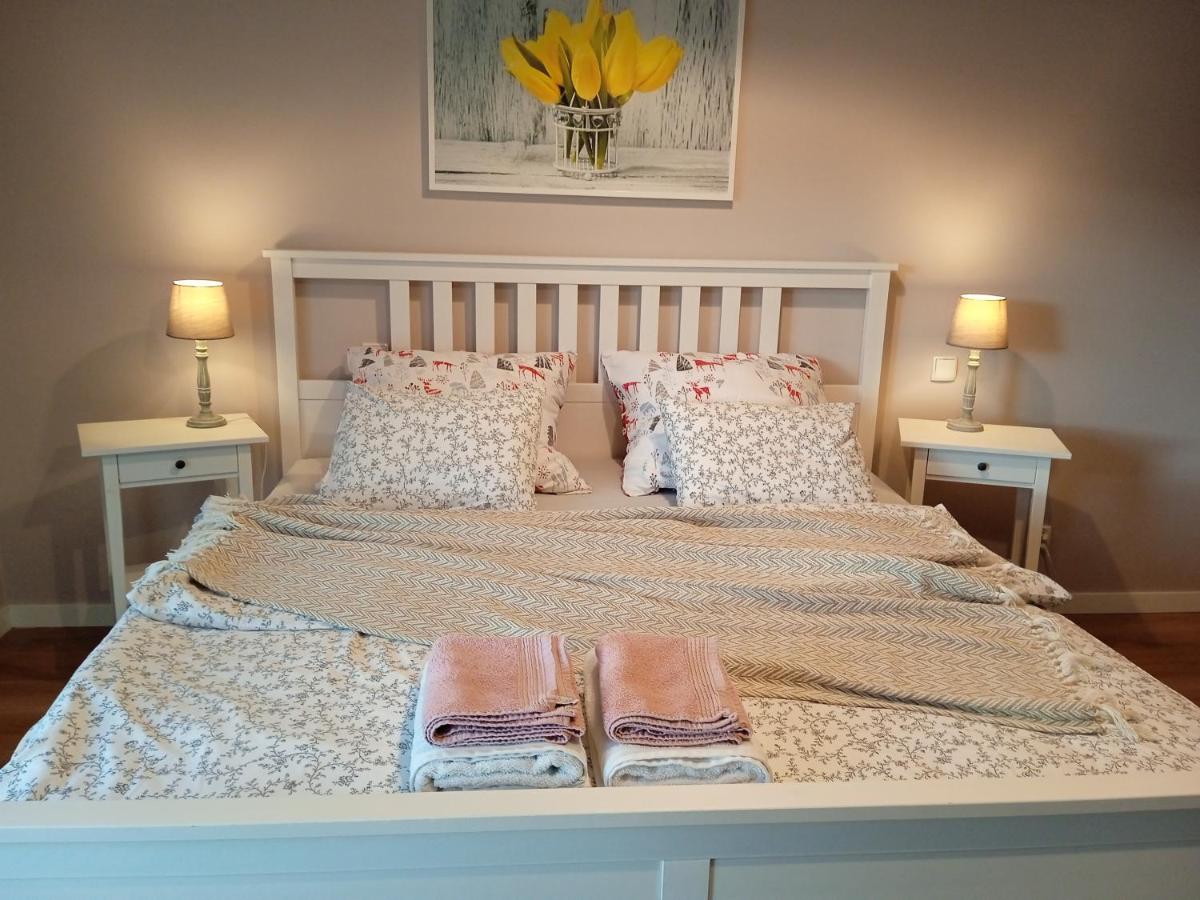 Appartement 1 Chambre