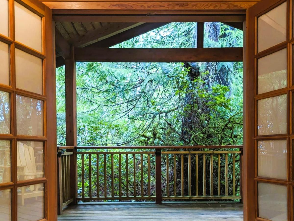 King Room with Garden View