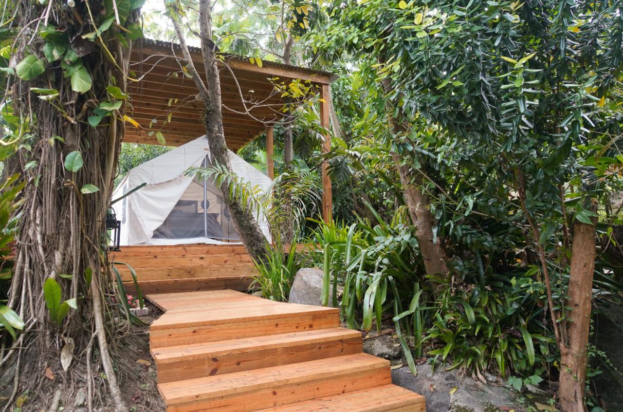 El Yunque Glamping Experience - B&B