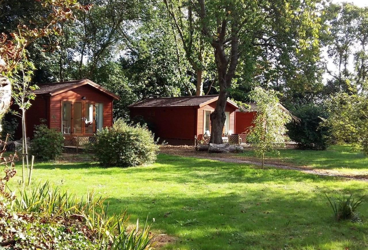 Elm Lodge - B&B