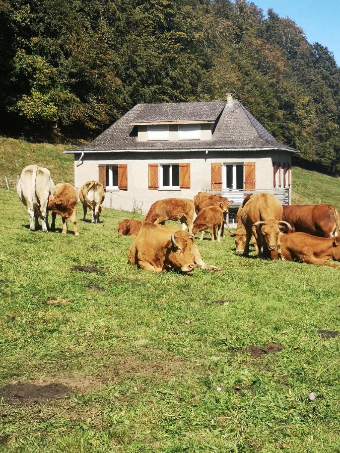 Tourmalet - Bed and Breakfast