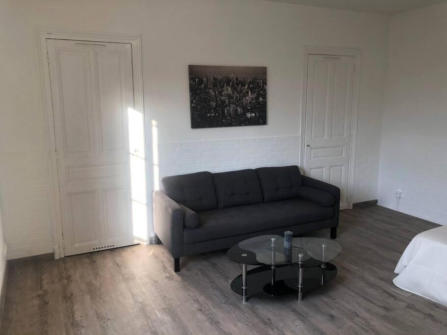 B&B Troyes - STUDIO « LE PARC DES MOULINS » - Bed and Breakfast Troyes