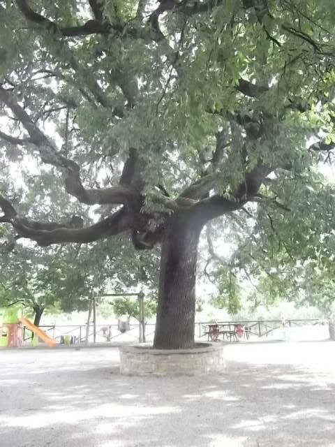 Appartement met 1 Slaapkamer
