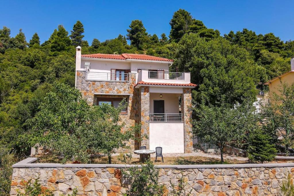 Forest View House Seta - B&B