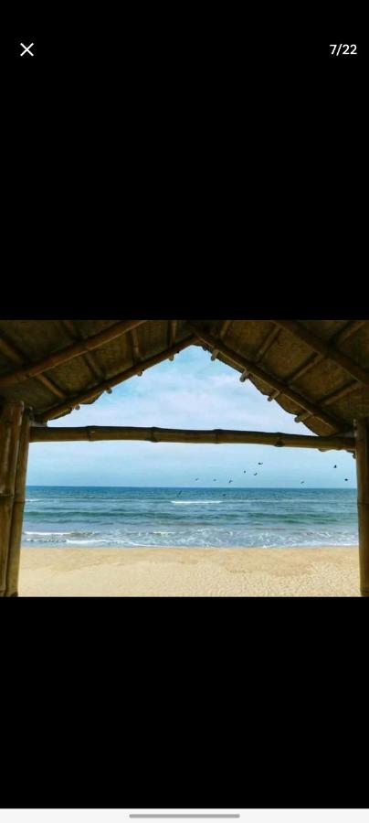 B&B Vīrāmpatnam - Eden Beach stay in 50 meters - Bed and Breakfast Vīrāmpatnam