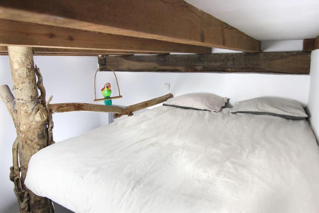 La casa del árbol - B&B San Sebastián