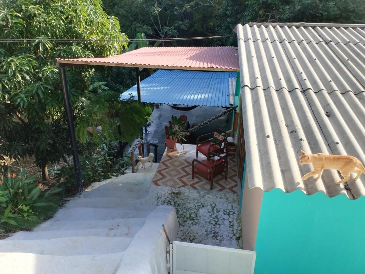 Pet Friendly EcoHostal Tierra Prometida