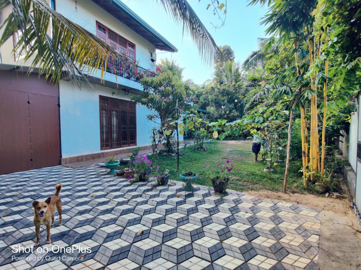 Naturus Villa Thalpitiya - B&B Panadura