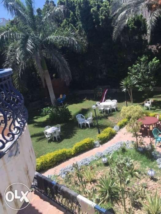 Cheerful villa with pool in Alexandria (El agami) - Bed and Breakfast