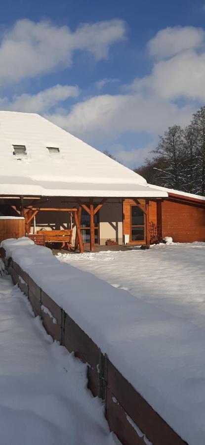 Apartament Hortensjowy Zakątek - Ferienwohnung