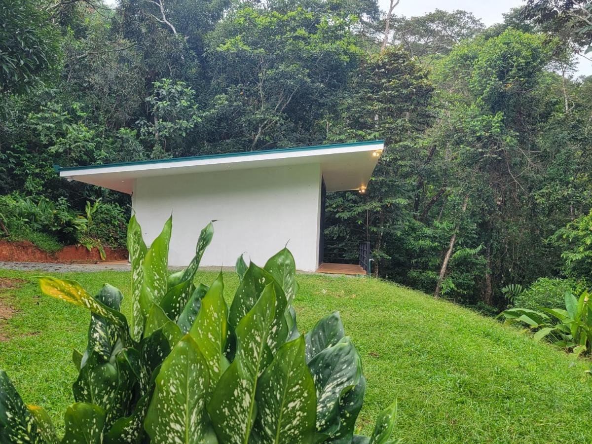 Suite - Vue sur Jardin