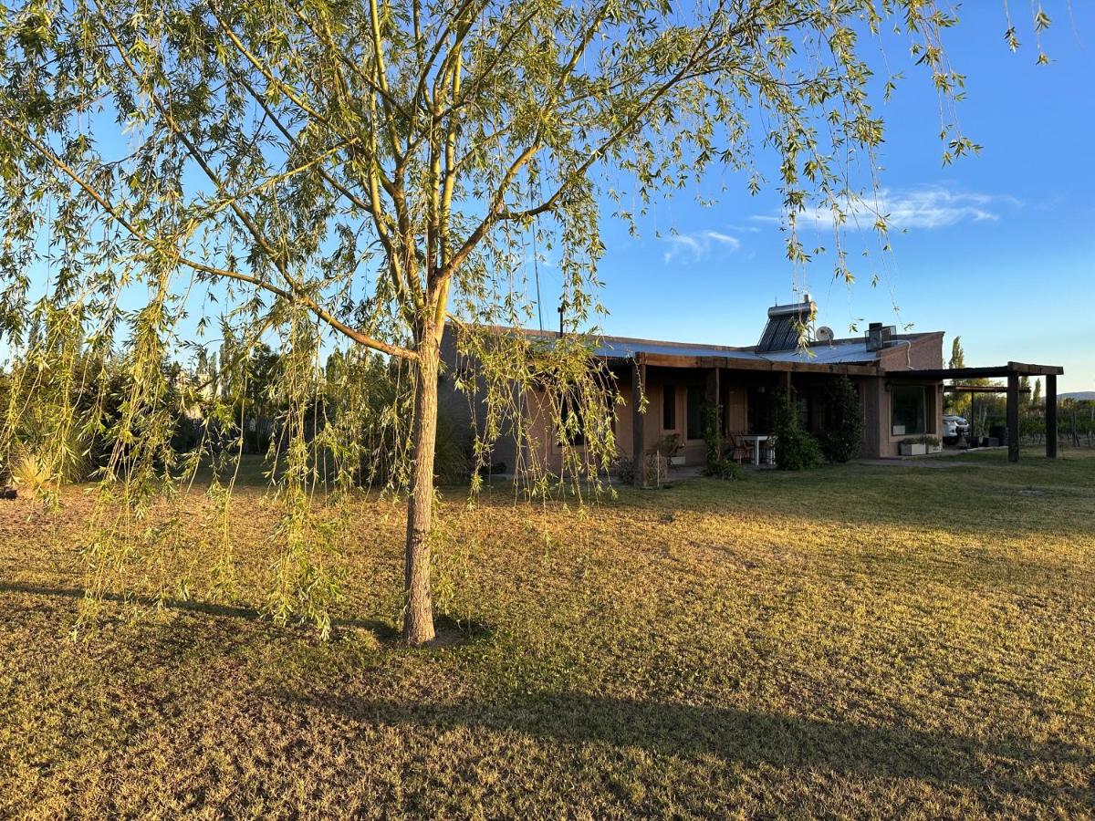 Casa entre viñas - B&B San Rafael