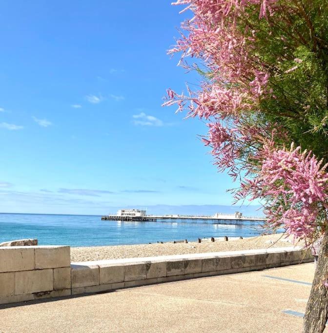 Seaside Snug, by the beach, in central Worthing with Parking - B&B