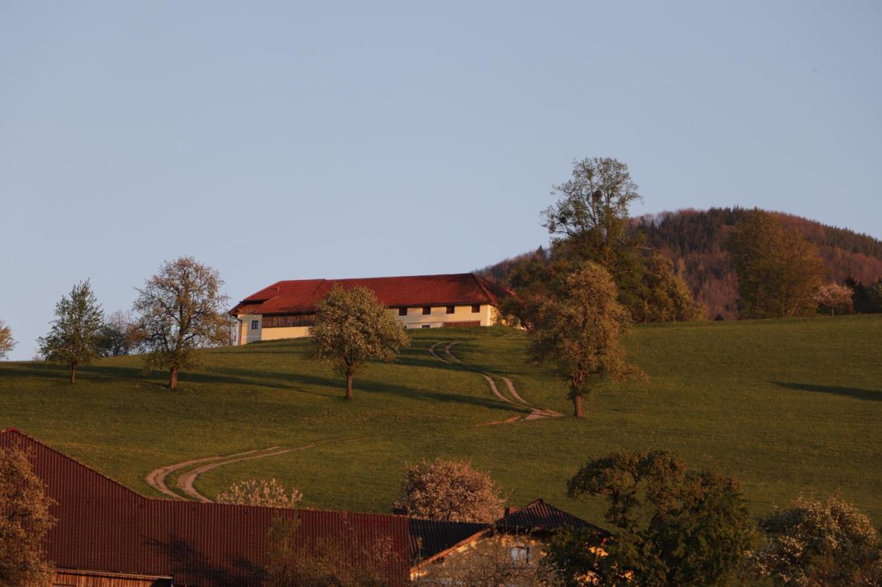 Unterbrandlberg - Bed and Breakfast Steinbach an der Steyr