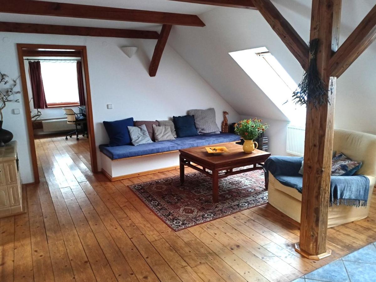 Family apartment Vysočina SKI plus BIATLON - Chambres d’hôtes Nové Město na Moravě