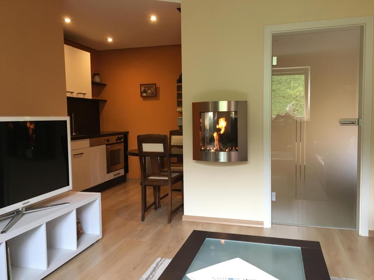 Weinrebe Oberhermsdorf nahe Dresden - Bed and Breakfast