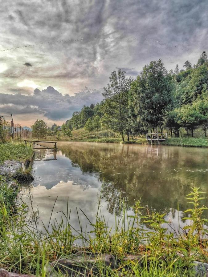 Pensiunea Lacul Arșiței - B&B