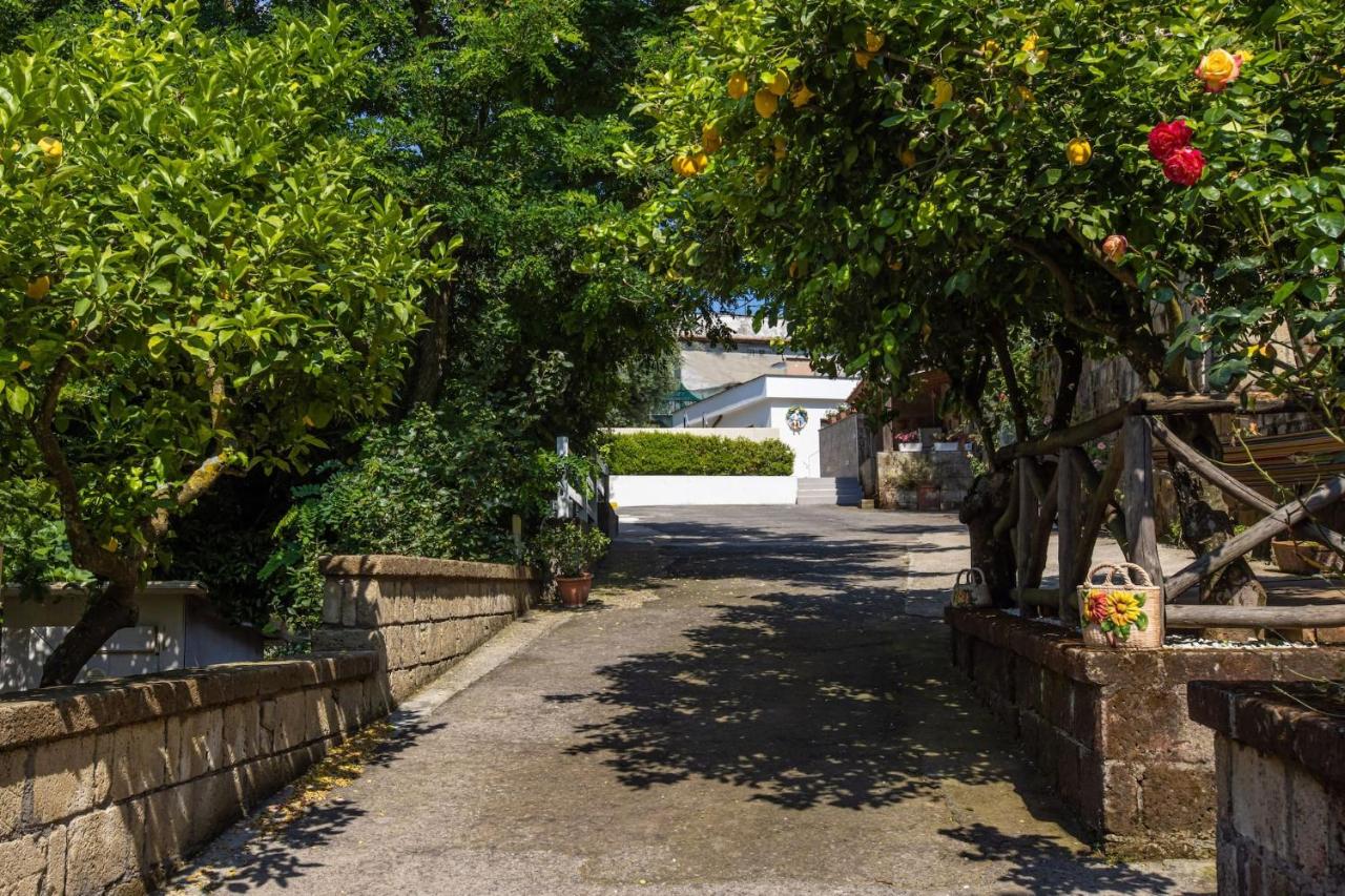 Sorrento Villa with Pool and Amazing Views - B&B Massa Lubrense