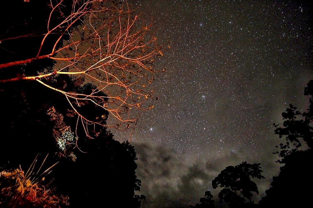 Habitación Doble Deluxe con balcón