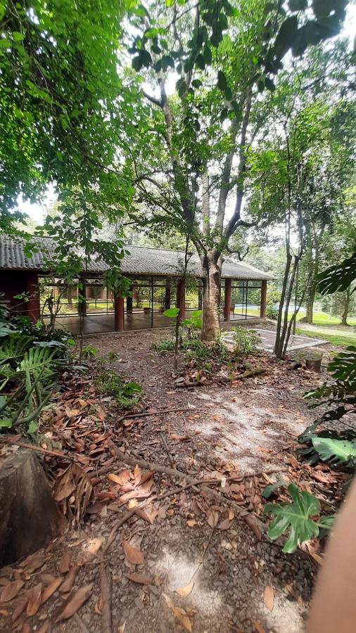 La Manquel - Casa y Yungas - B&B