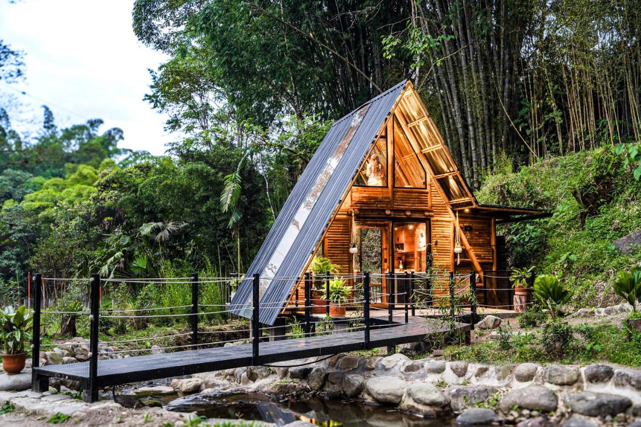 Senz Glamping - Mindo - B&B Mindo