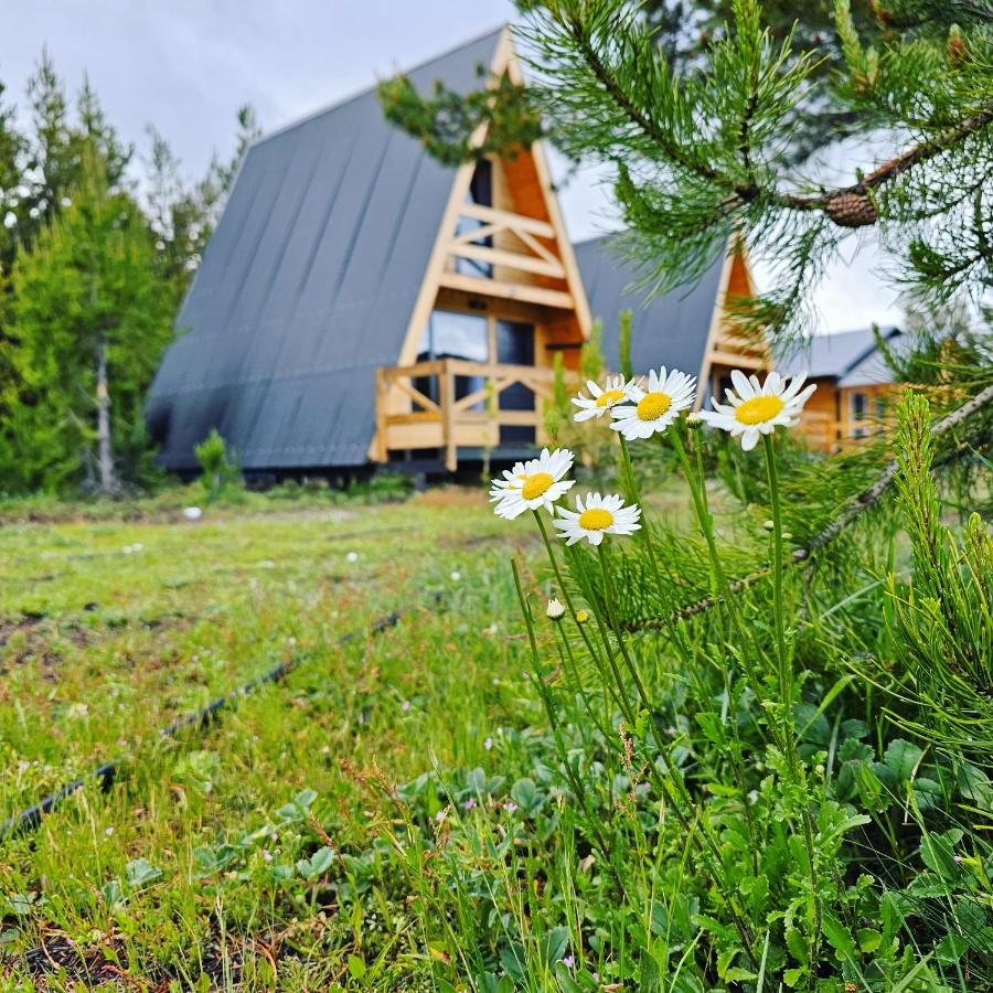 B&B Moquehue - Cabañas Entre Cumbres - Bed and Breakfast Moquehue