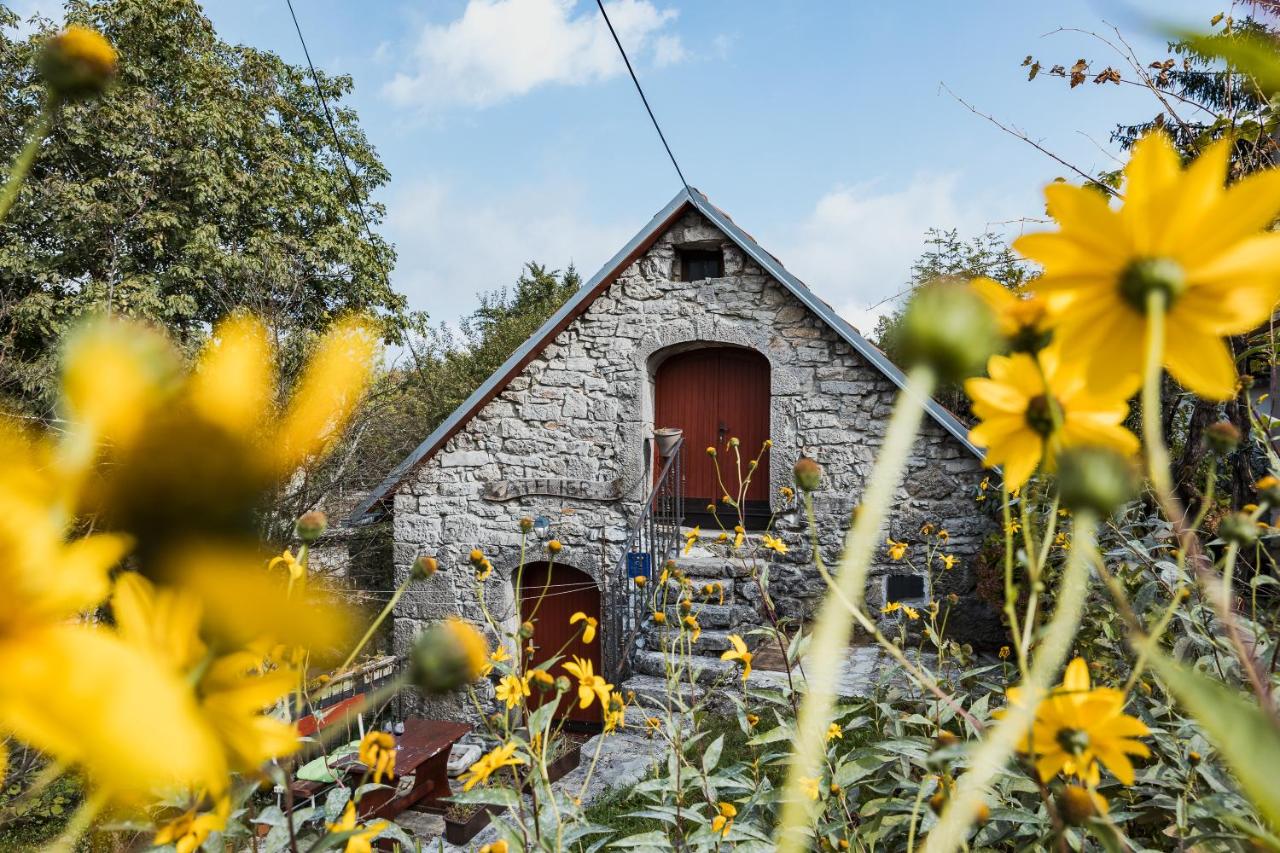 Country House Atelier - B&B Zvoneća