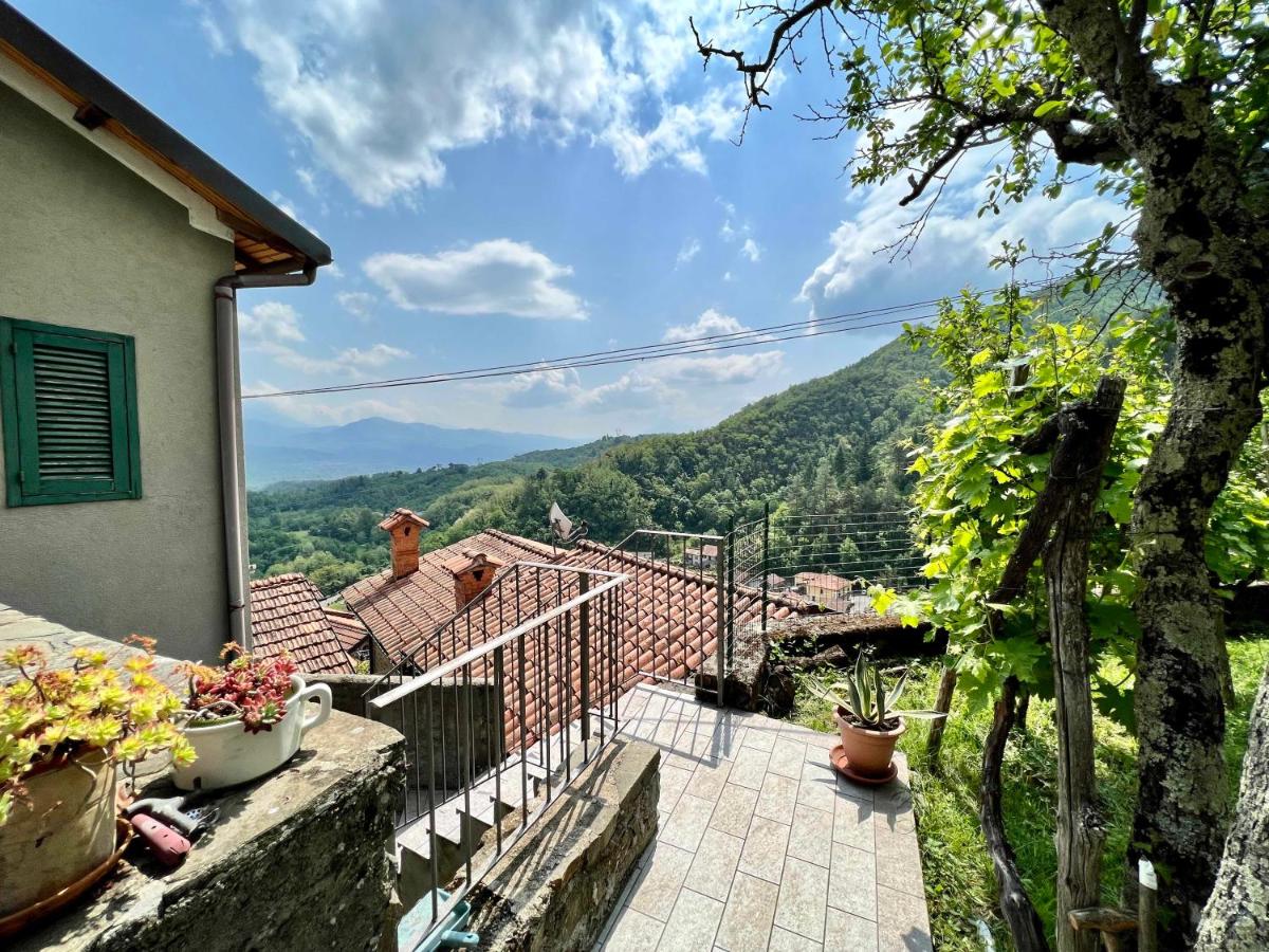 La Finestra di Dante - B&B
