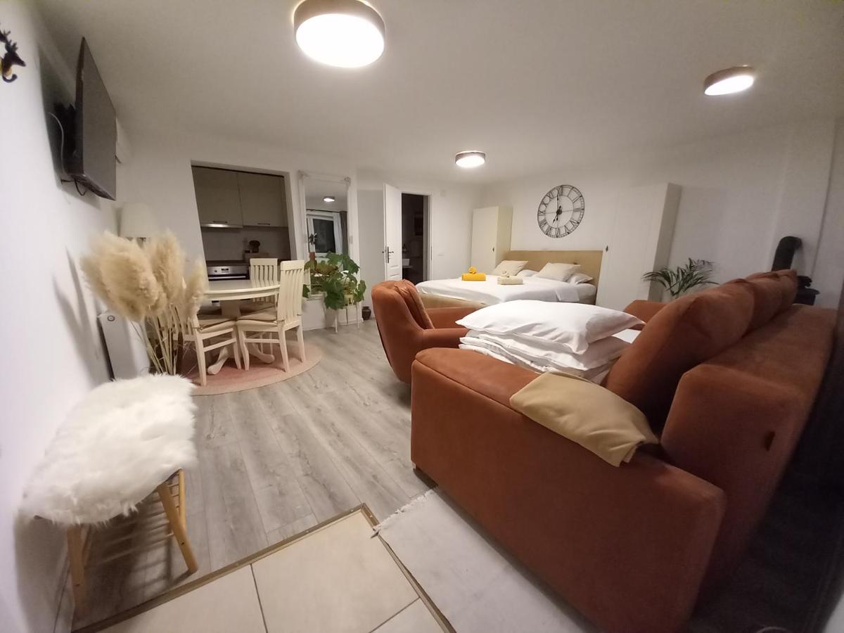 Apartment mit 1 Schlafzimmer