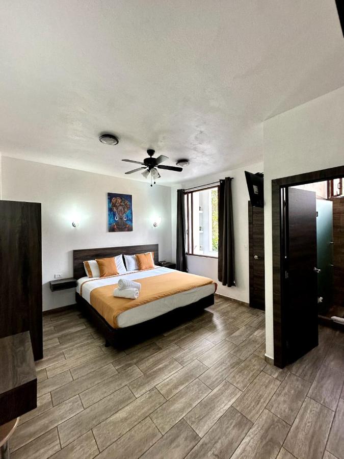 B&B Mindo - Toucan Platinum Suites Aparthotel - Bed and Breakfast Mindo